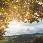 Lantgård De' Ricci Rignana Greve in Chianti