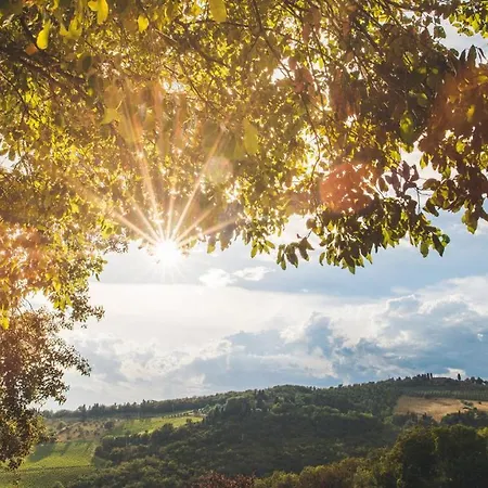 Farm stay De' Ricci Rignana Greve in Chianti